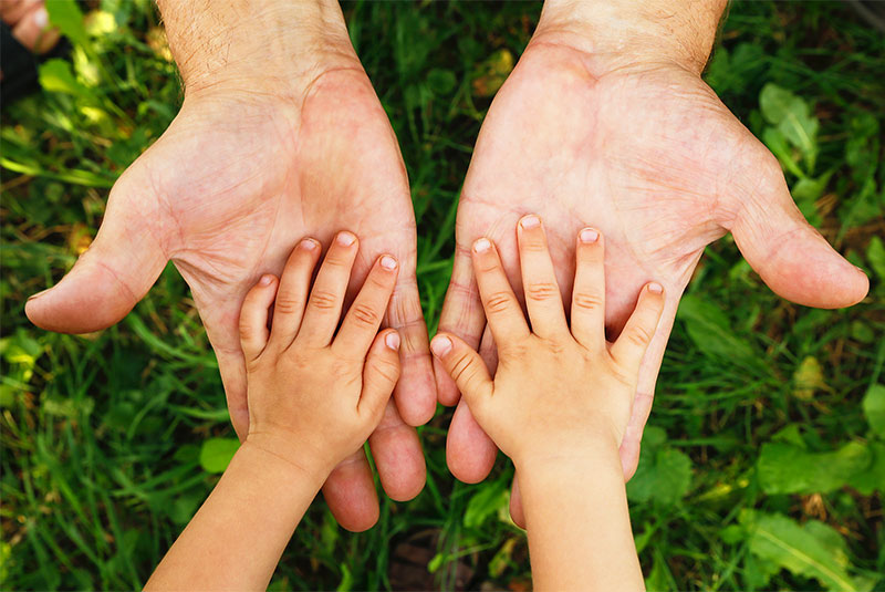 Grandparents seeking custody of children