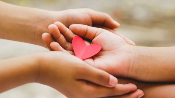 The Role of an Adoption Attorney in California