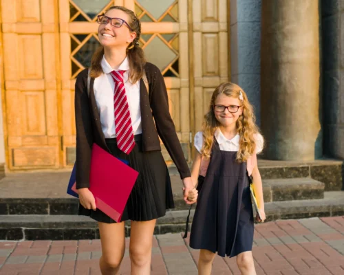 wgs-blogs-remote-work-a-high-school-student-and-an-elementary-school-stu-2026-03-16-04-28-46-utc-scaled-500x400-v01 a high school student and an elementary school student